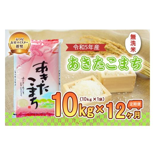 ふるさと納税 岩手県 盛岡市 盛岡市産あきたこまち10kg×12か月