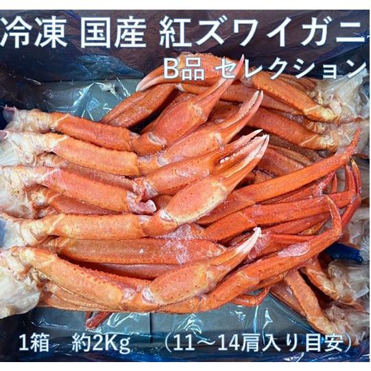 北海道直送 国産冷凍 ボイル済 紅ズワイガニ セクション 約2kg箱 冷凍品 B品 Mサイズ (11~14肩入り目安)「漁師さん応援キャンペーン」 (2kg×1箱)