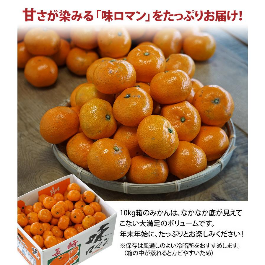 『味ロマン』 JA長崎せいひ M〜Lサイズ 約10kg 産地箱 外皮に傷あり ※常温　送料無料