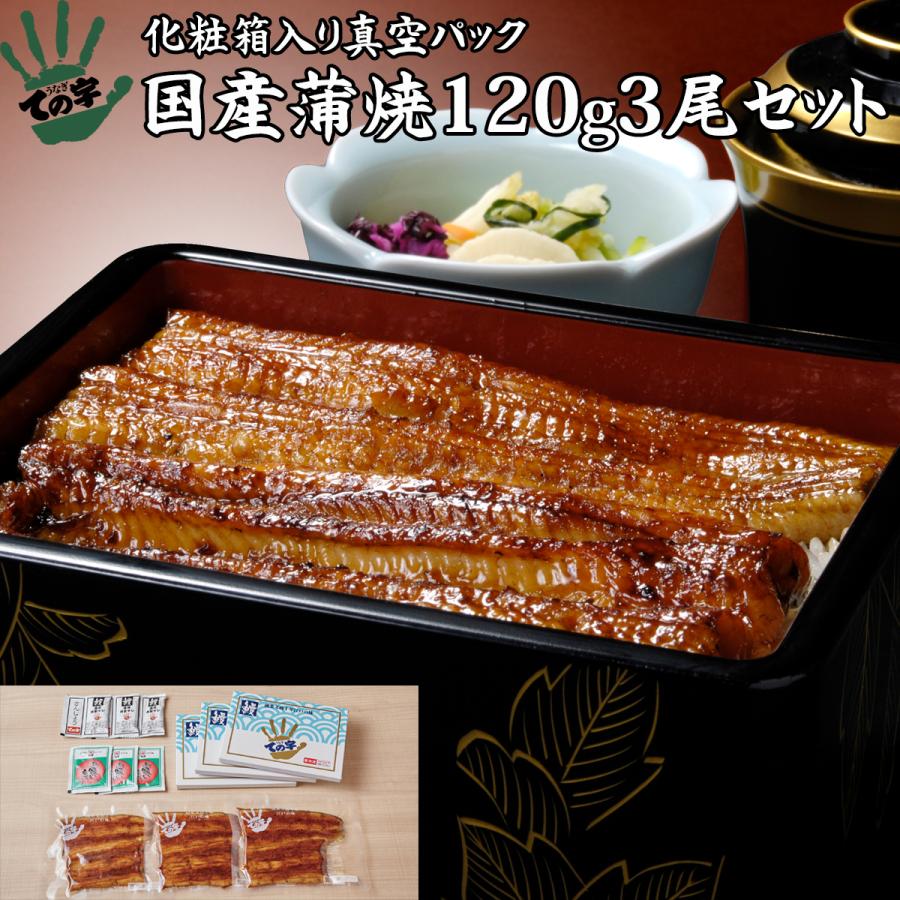 お歳暮 うなぎ 鰻 国産 プレゼント ギフト 蒲焼 120g×3セット ての字 化粧箱入り