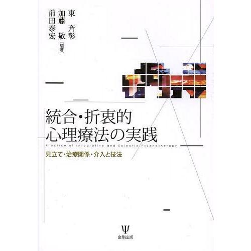 統合・折衷的心理療法の実践 見立て・治療関係・介入と技法