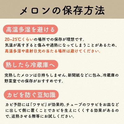 ふるさと納税 五所川原市 メロン5kg程度(緑肉4〜6玉)津軽産