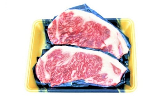 牛肉 黒毛和牛 宮崎産 サーロインステーキ(250g×2枚) 計500g [ウィズ・クリエイティブ 宮崎県 日向市 23-07] 和牛 肉 ステーキ サーロイン 冷凍 真空パック