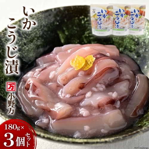 小野万 いかこうじ漬 180g 3個セット  [小野万 宮城県 気仙沼市 20562477] 魚 魚介類 いか イカ 冷蔵 酒の肴 おつまみ ご飯のお供 珍味 麹漬け こうじ漬け