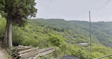 清境農場｜清境國小｜雙鄰路農牧用地｜南投縣仁愛鄉幼獅
