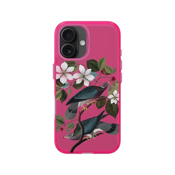 iPhone 16 Clear 粉漾桃 - The British Library - 美洲鳥譜 ‧ 帶尾原鴿