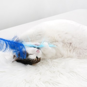 ParisCat 蘆葦芒草逗貓棒 寵物玩具