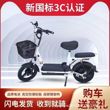 新國標電動車48v兩輪成人電瓶車自行車男女小型通勤  露天市集  全臺最大的網路購物市集