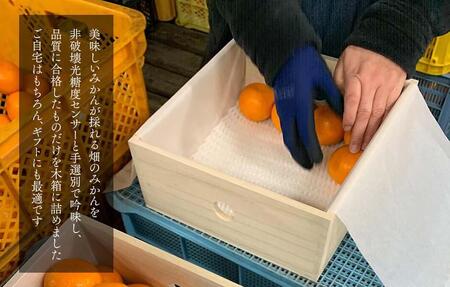 みかん めっちゃうまいんじゃ 木箱入 約5kg みかんの会厳選 特選品 M S 2S サイズのいずれか 和歌山県産 産地直送 S品 贈答用 