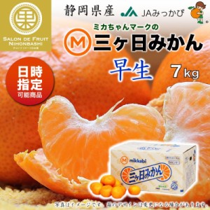 [予約 2023年 12月1日-12月10日の納品] 三ケ日みかん 早生 約 7kg 2Lサイズ 静岡県産 JAみっかび 早生 蜜柑 産地箱 冬ギフト お歳暮 御歳