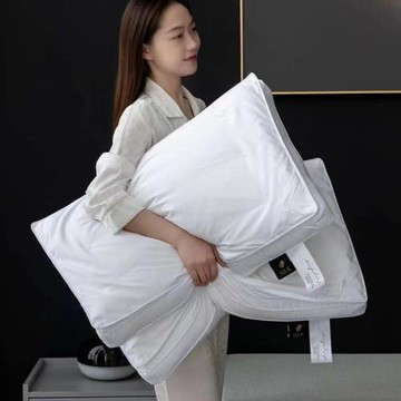 五星級酒店蠶絲枕頭家用可水洗單人護頸成人枕芯商場款雙層枕頭芯