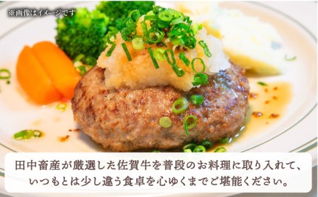 佐賀牛 ミンチ 900g（300g×3パック）黒毛和牛 ひき肉 ハンバーグ[HBH103]