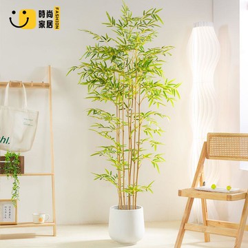 公司貨 免運 假樹 仿真植物 裝飾品 琉璃蘭仿真竹子植物落地盆栽擺件大型室內客廳裝飾新中式假綠植工廠直銷 可開發票 新品特價/全館折扣 5s715