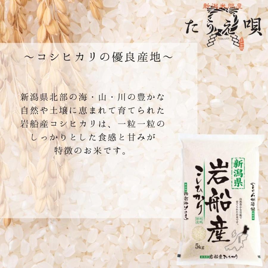 新米 令和5年 コシヒカリ 岩船産コシヒカリ 5kg 精米 送料無料 コシヒカリ こしひかり 米 コメ こめ ギフト プレゼント 贈り物 ブランド米 産地直送 直送