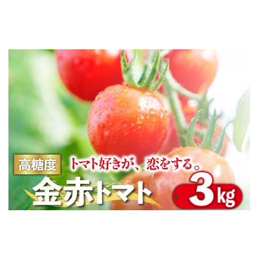 ふるさと納税 愛知県 常滑市 トマト好きが、恋をする。　3kg　金赤トマトミニ