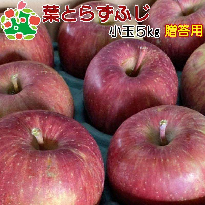 りんご 贈答 サンふじ 青森県産 葉とらず ふじ 特選 小玉 5kg 産地直送 産直 御歳暮 歳暮 内祝い プレゼント 内祝 お返し 贈答品 食べ物 旬の 果物