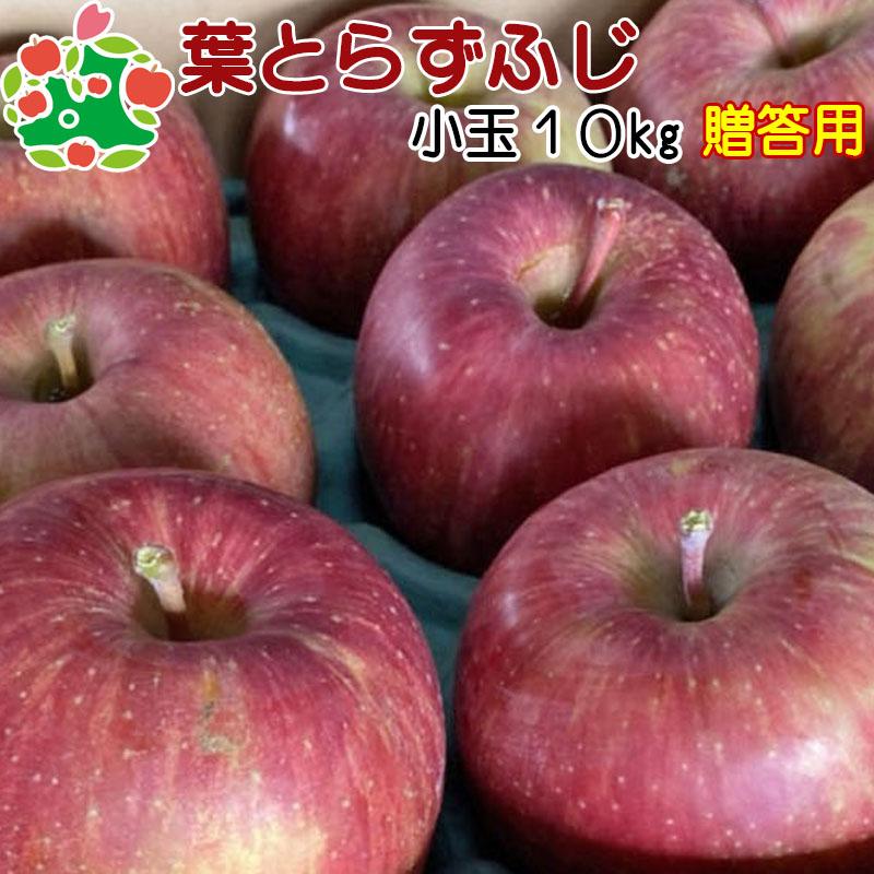 りんご 贈答 サンふじ 青森県産 葉とらず ふじ 特選 小玉 10kg 産地直送 産直 御歳暮 歳暮 内祝い プレゼント 内祝 お返し 贈答品 食べ物 旬の 果物