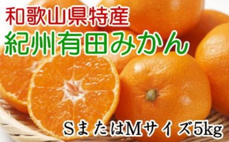 [秀品]和歌山有田みかん約5kg(SまたはMサイズ) ★2023年11月中旬頃より順次発送