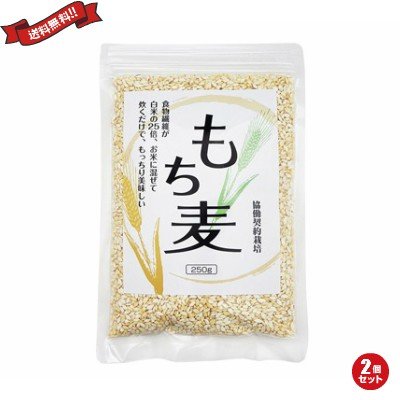 もち麦 国産 もち麦 250g ２個セット 送料無料