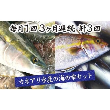 ふるさと納税 〜旬の朝どれ鮮魚と土佐の干物セット〜 カネアリ水産の海の定期便3ヶ月 季節 四季 鮮魚 加工食品 干.. 高知県田野町