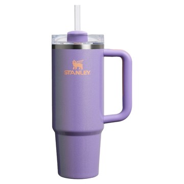 STANLEY 冒險系列 吸管隨手杯2.0  880ml  星際紫  1個