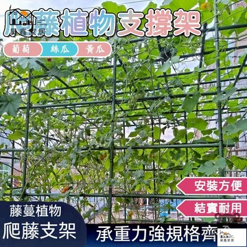 免運 台灣公司 【免運】mm 粗 爬藤架 葡萄架 植物支撐架 園藝花架 花園 陽臺 小黃瓜 豆角 絲瓜 百香果 爬架工廠現貨直銷 免運 可開發票 全館八折 售後保障 店長新品推薦 5h916
