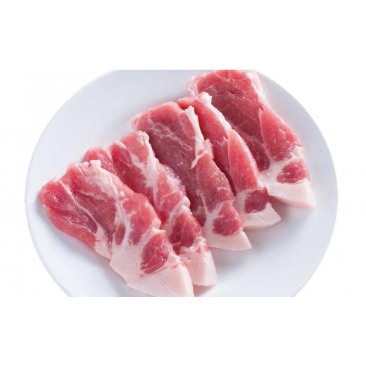 ふるさと納税 高知県 高知市 国産豚肩ロース焼肉用約500g 豚焼肉 豚肉 ぶた ブタ 高知県 土佐 熨斗対応