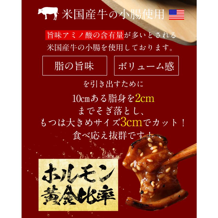 牛丼 牛丼の具 牛ホルモン焼き5個＆松屋オリジナルカレー15袋＆牛めしの具〜プレミアム仕様〜10個セット 通販限定発売 肉 絶品 仕送り 業務用 食品 おかず