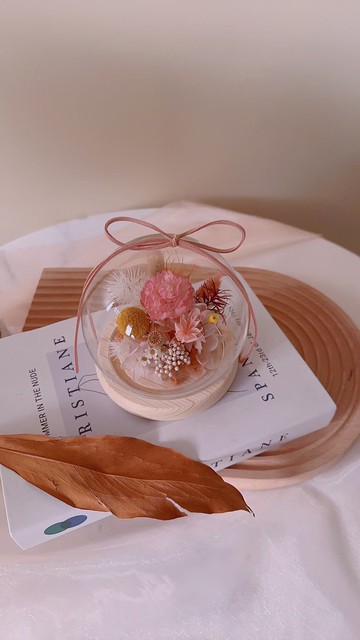 逗留 - 康乃馨 索拉花 永生花 花禮 永生盅罩