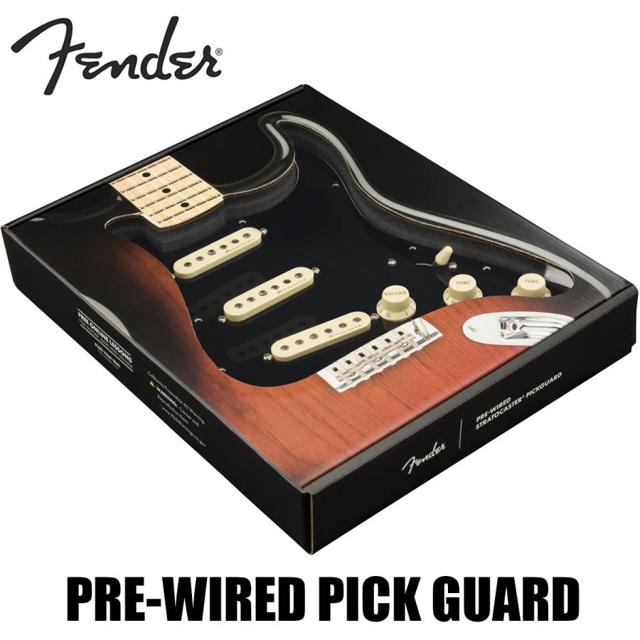 Fender ギターパーツ Pre-Wired Strat Pickguard, Vintage Noiseless SSS, Black