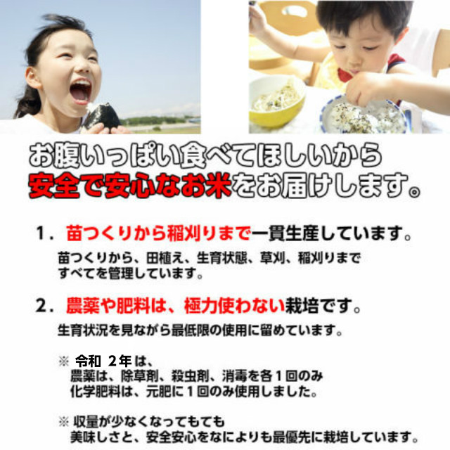 米 コシヒカリ こしひかり 天の川のめぐみ 白米 10kg 令和5年産 ギフト 茨城県 お米 こめ おこめ