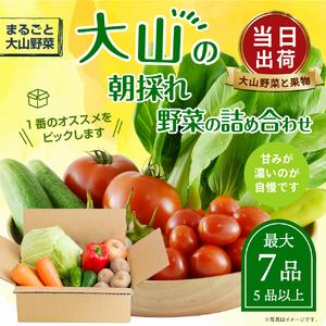 ふるさと納税 MS-01　新鮮朝採れ野菜　お手ごろセット 鳥取県大山町