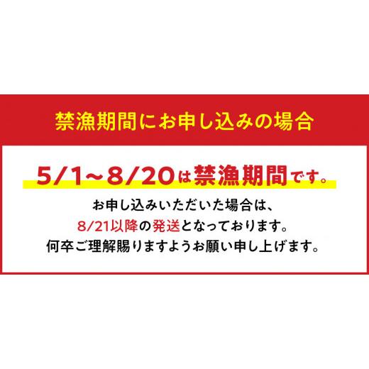 ふるさと納税 鹿児島県 和泊町 活き〆冷凍　 天然伊勢海老１ｋｇ（3〜4尾）