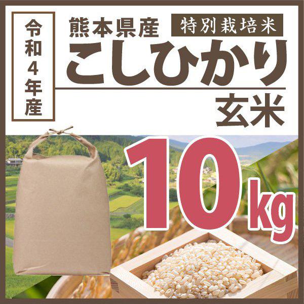 玄米 令和5年産 熊本県こしひかり 10kg