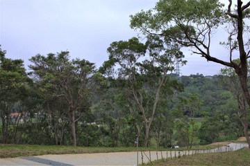 通霄森林秘境景觀休閒農地A｜苗栗縣通霄鎮五里牌段隘口寮小段