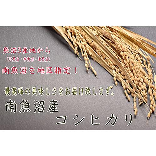 令和４年年南魚沼産コシヒカリ真空パック 白米 (真空パック)５kg×２＝１０kg