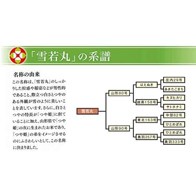 全農パールライス精米 山形県産 白米 雪若丸 5kg 令和4年産