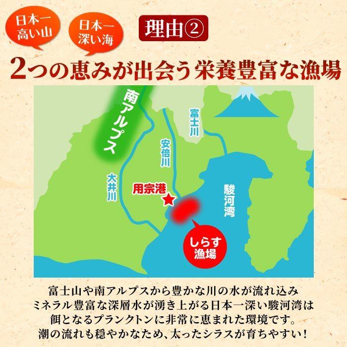 鮮度抜群！静岡県産 生しらす＆釜揚げしらす1kgセット シラス しらす 生シラス 釜揚げ 冷凍 用宗港 駿河湾 しらす丼 静岡産 グルメ