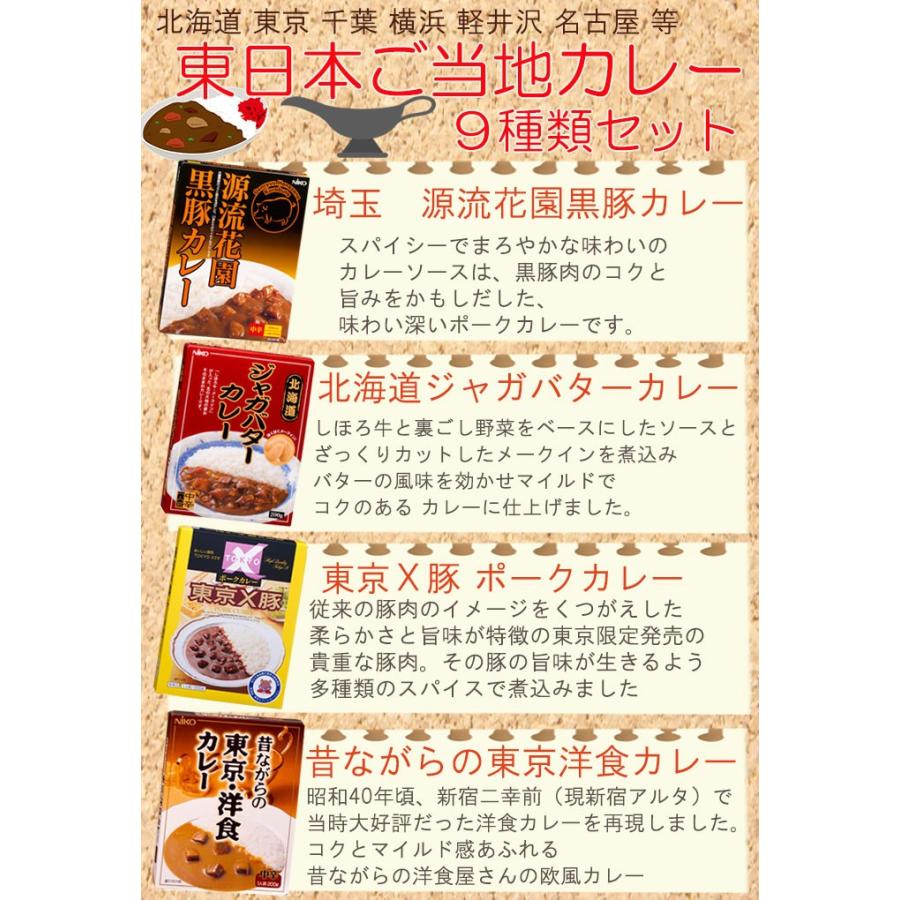 レトルトカレー 東日本 ご当地 9種類 詰め合わせセット 2023お取り寄せギフトセット 食品