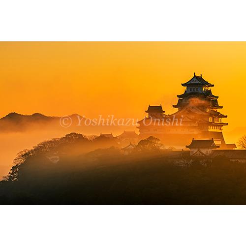 絶景姫路城 世界文化遺産・国宝 大西義和 写真