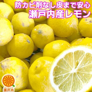 瀬戸内産 国産レモン 4kg 訳あり 不揃い檸檬 防腐剤 防かび剤不使用 愛媛県産または広島県産 家庭用 レモン果