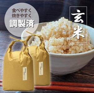 福岡県産評価のお米「元気つくし」5kg×2袋 10kg [玄米]