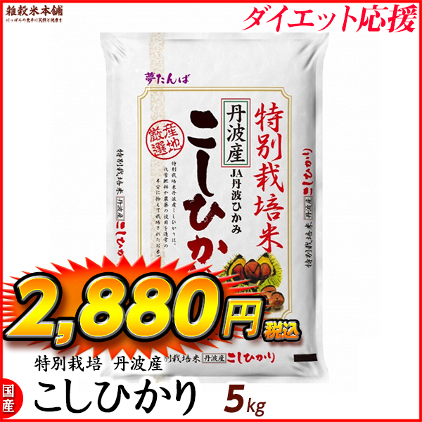 特別栽培米 コシヒカリ 5kg 丹波産 令和5年産 単一原料米