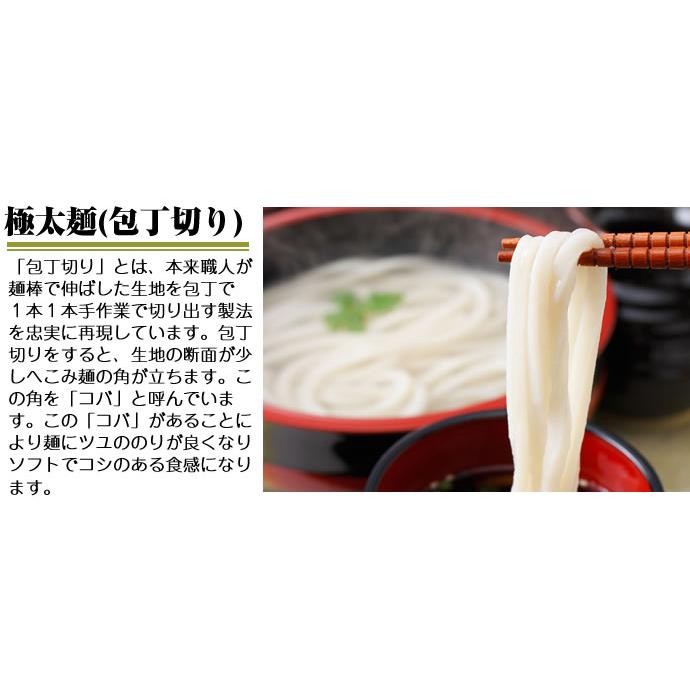 讃岐うどん 極太麺 300g×3袋 6人前〜9人前 極太 うどん 半生麺 ポスト投函便での配送(代金引換-後払い不可・着日指定不可)