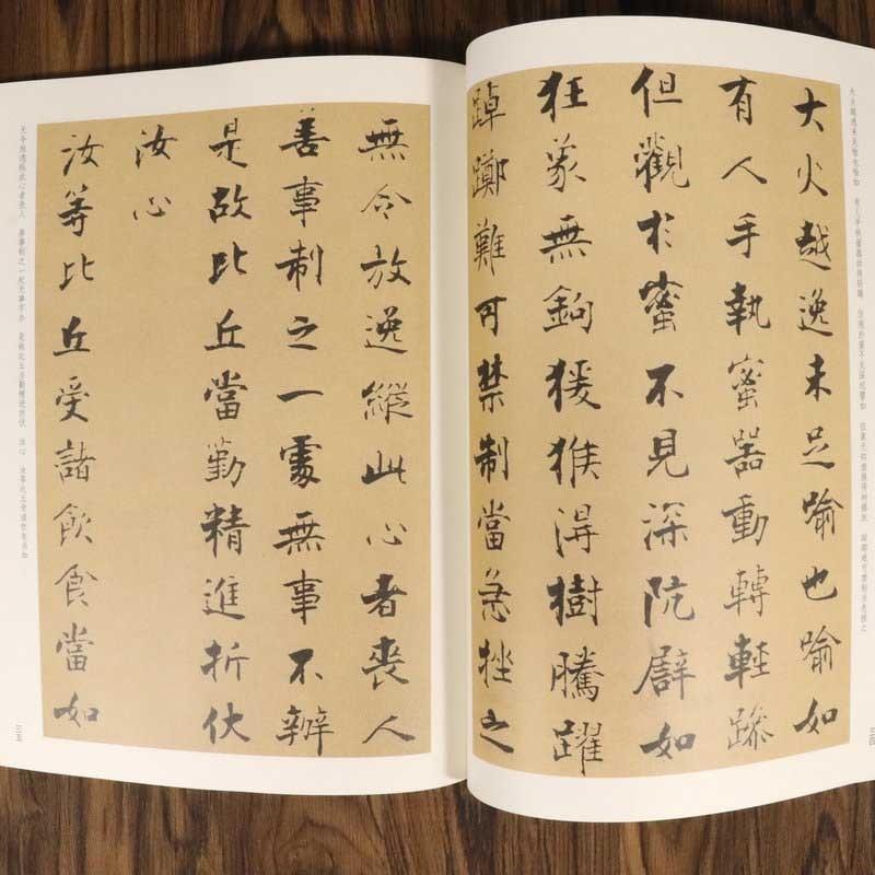 張即之行楷書帖　中華歴代伝世碑帖集萃　中国語書道 #24352;即之行楷#20070;帖　中#21326;#21382;代#20256;世碑帖集萃