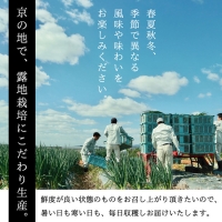 九条ねぎ 1kg《ネギ ねぎ 葱 長ネギ 長ねぎ 青ネギ 青ねぎ 根きり 京都 伝統野菜 京野菜》