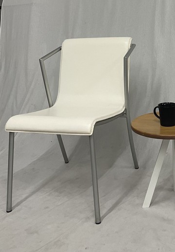 年終優惠單椅 絕版品  休閒椅 TS-011