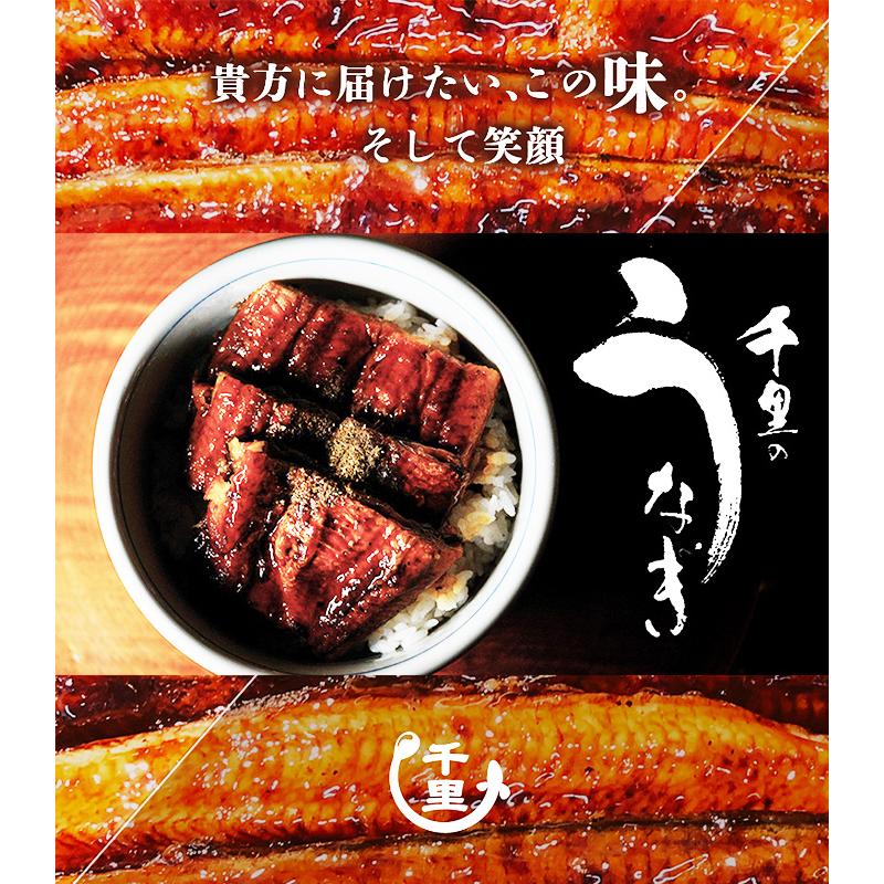 ギフト うなぎ 蒲焼 千里うなぎ 送料無料 ギフト 千里うなぎ蒲焼 (大) １５０ｇ 無頭 ３尾 国産 うなぎ セット 冷凍発送  鰻 ウナギ 鹿児島