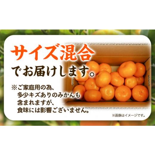 ふるさと納税 和歌山県 紀の川市 沿線みかん 約5kg 和歌山電鐵株式会社《10月下旬-2024年1月上旬頃より発送予定》和歌山県 紀の川市 フルーツ 果物 みかん 柑…