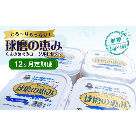 ふるさと納税 熊本県 湯前町 球磨の恵みヨーグルトセット(加糖1kg×4個)計48kg